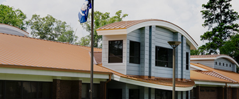 Library Building Image